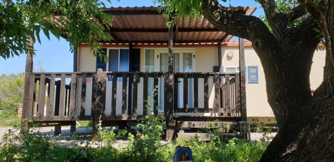The Farm Tiny House - Tiny Casa Hotel Chiclana de la Frontera Ngoại thất bức ảnh