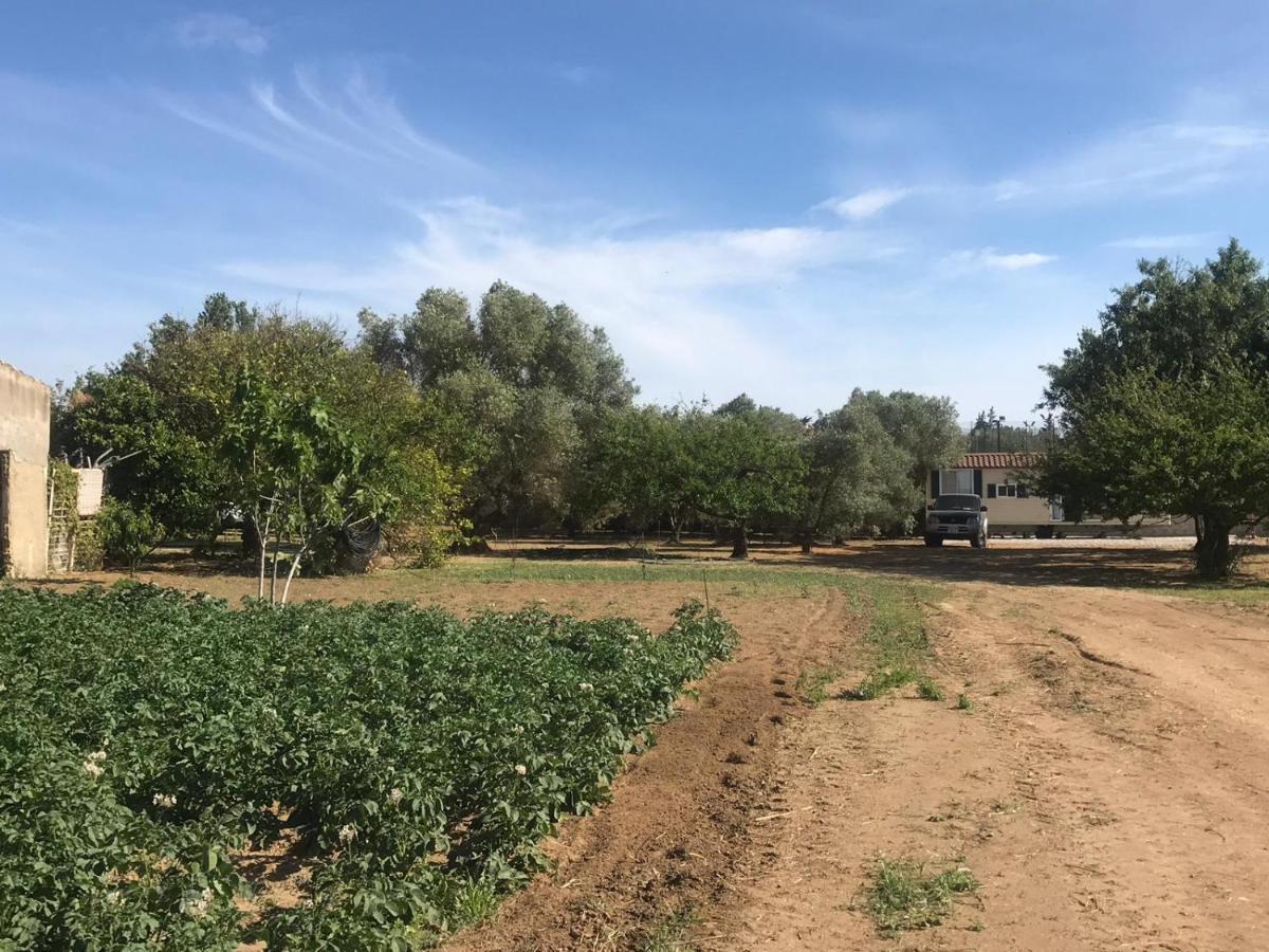The Farm Tiny House - Tiny Casa Hotel Chiclana de la Frontera Ngoại thất bức ảnh