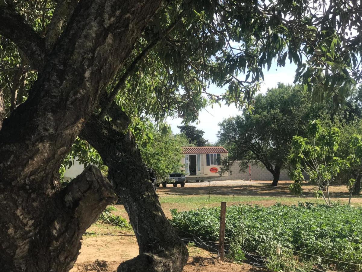 The Farm Tiny House - Tiny Casa Hotel Chiclana de la Frontera Ngoại thất bức ảnh